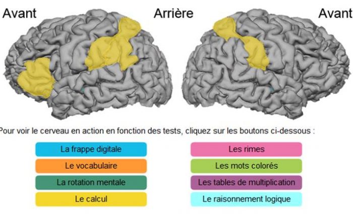 Mon cerveau en ébullition