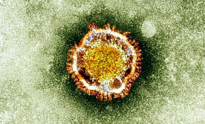 Ce mystérieux virus venu de Chine : une pandémie mondiale ?
