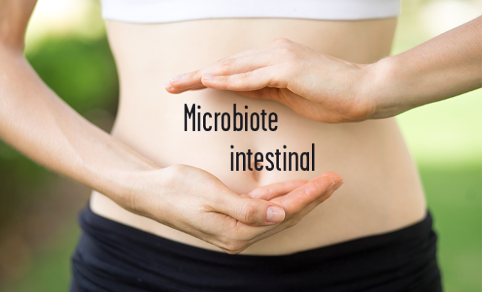 Le microbiote intestinal, un allié indispensable pour notre santé
