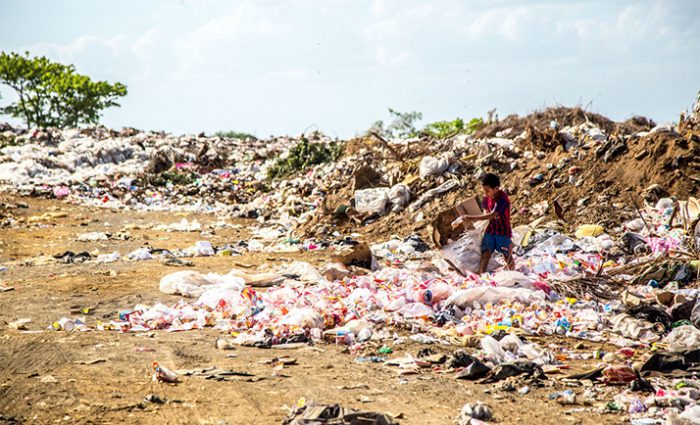 La pollution et les perturbateurs endocriniens