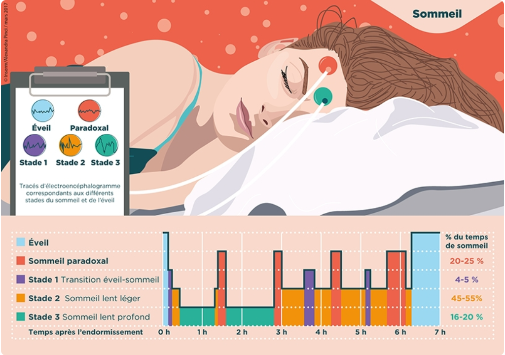 sommeil